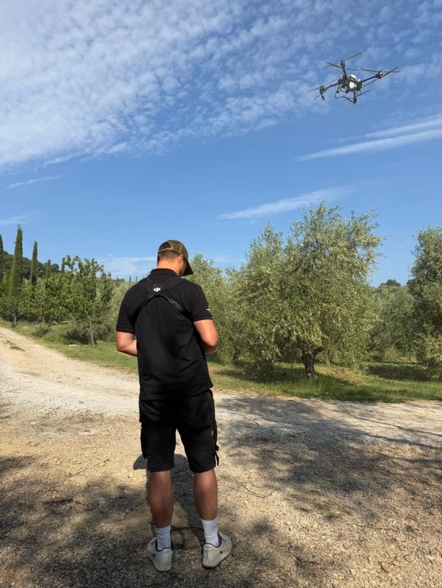 Drone boven Toscaanse olijfgaard