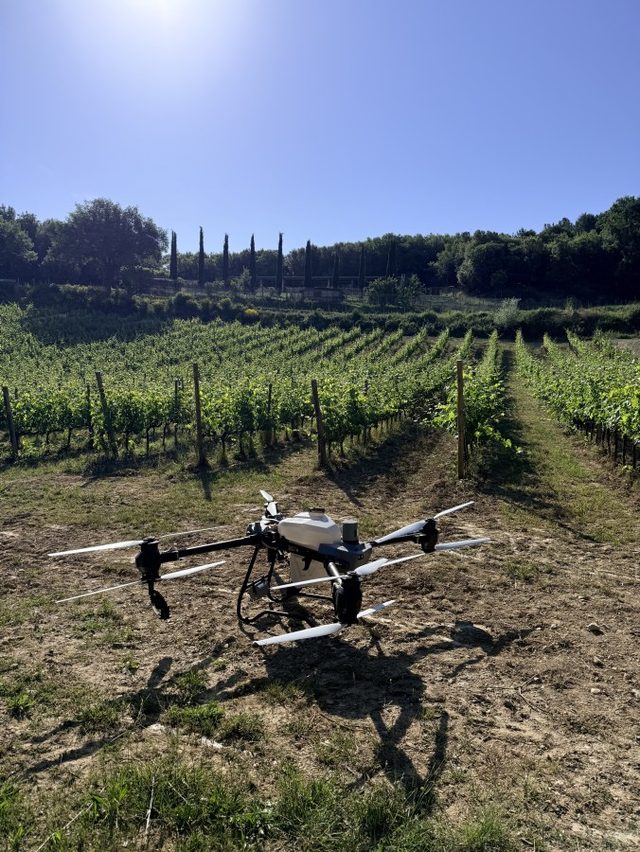 Drone boven Toscaanse wijngaard